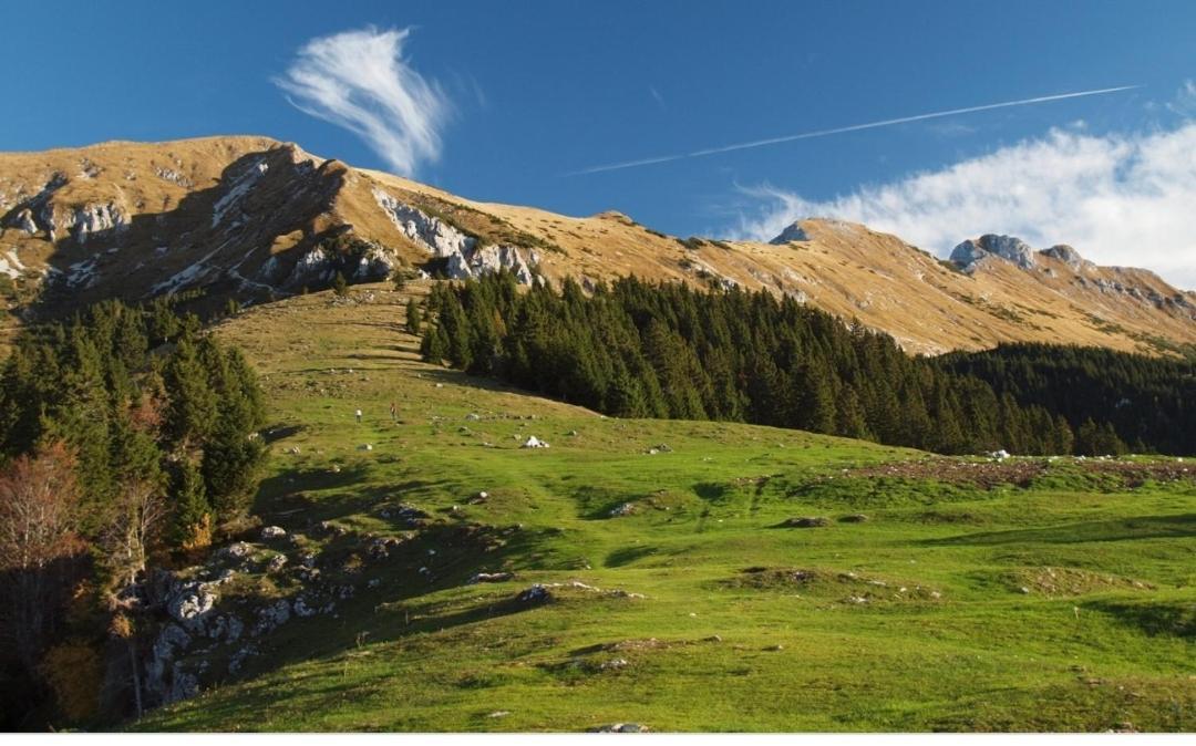 Apartma Jelendol Tržič エクステリア 写真