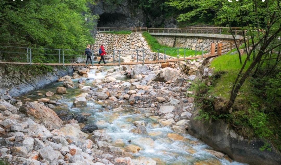 Apartma Jelendol Tržič エクステリア 写真